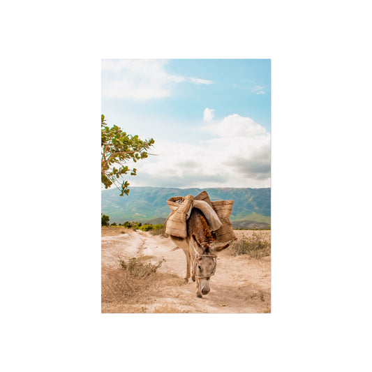 Donkey in the Valley poster