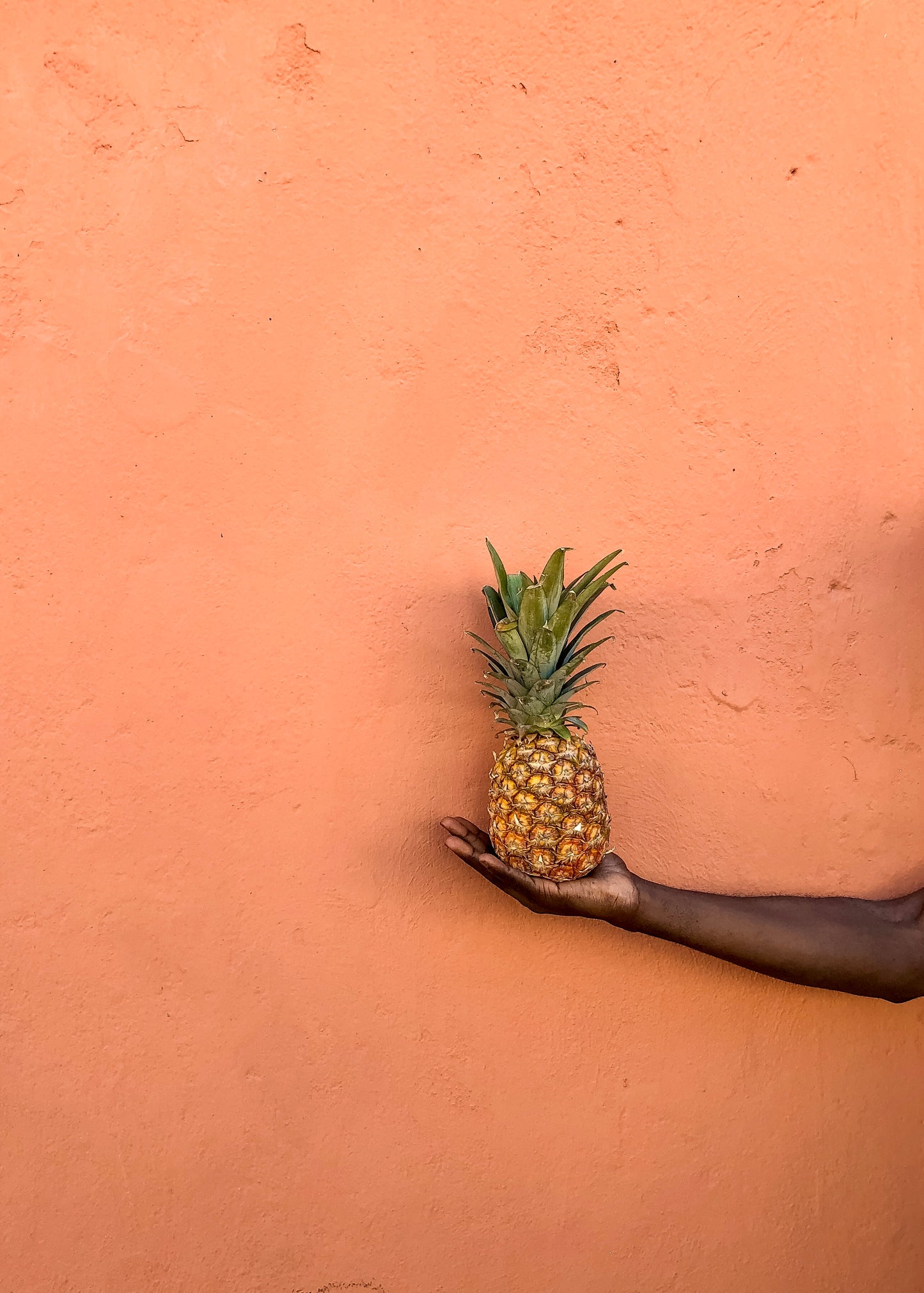 Pineapple Jacmel digital print